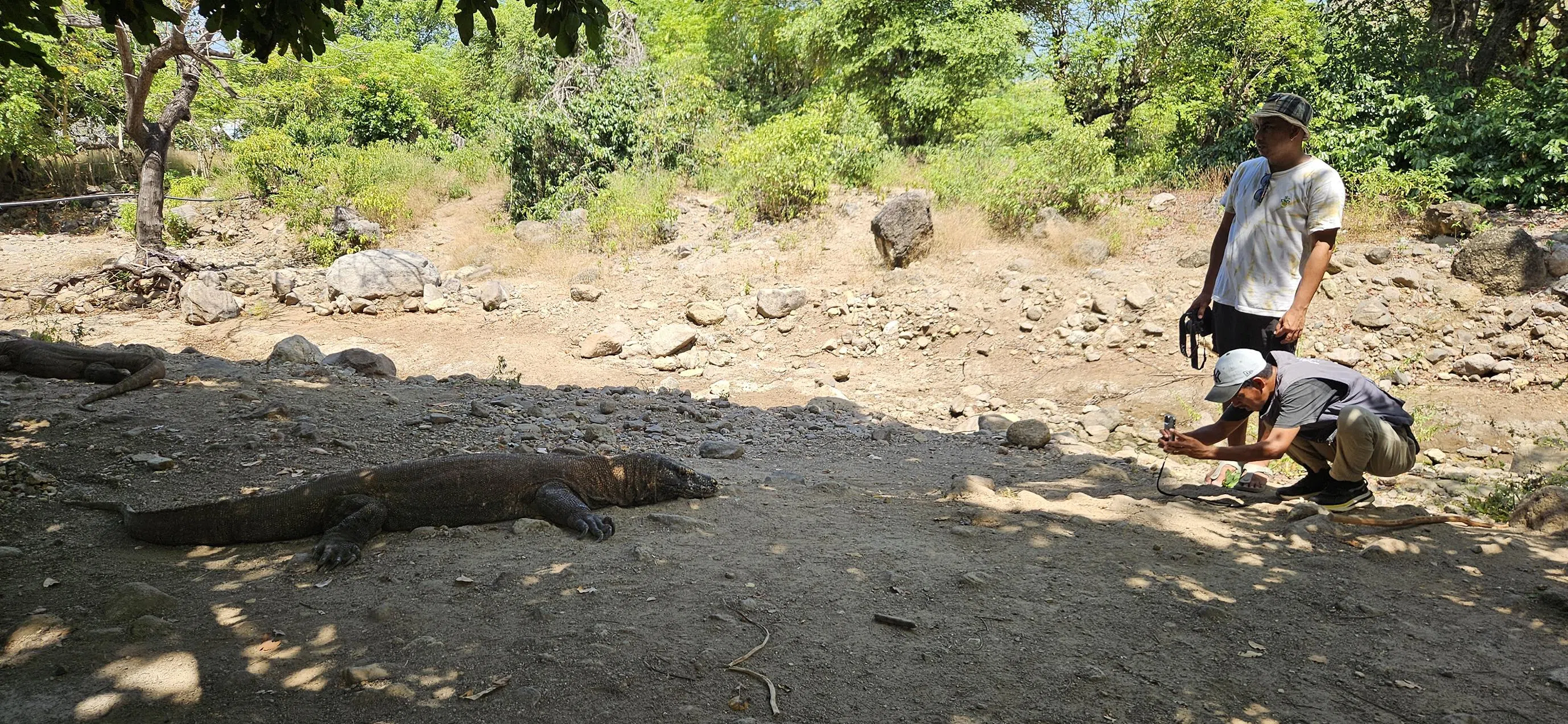 Komodo Island, Indonesia, Travel