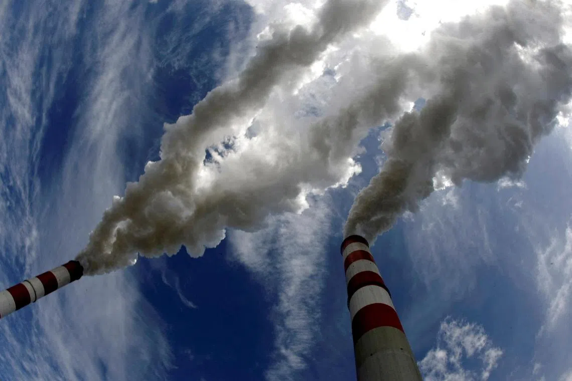 Smoke billows from the chimneys of Europe's biggest coal-fired power plant in Belchatow, Poland.