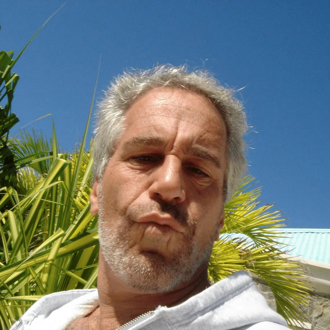 Late convicted sex offender Jeffrey Epstein in an image released by the Department of Justice on Dec 19.