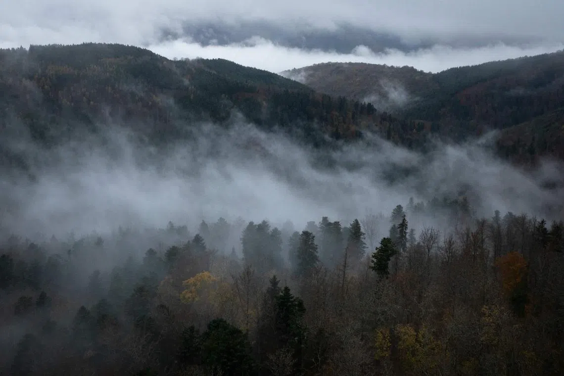 Research by scientists in China reveals a correlation between climate stress and power shifts.
