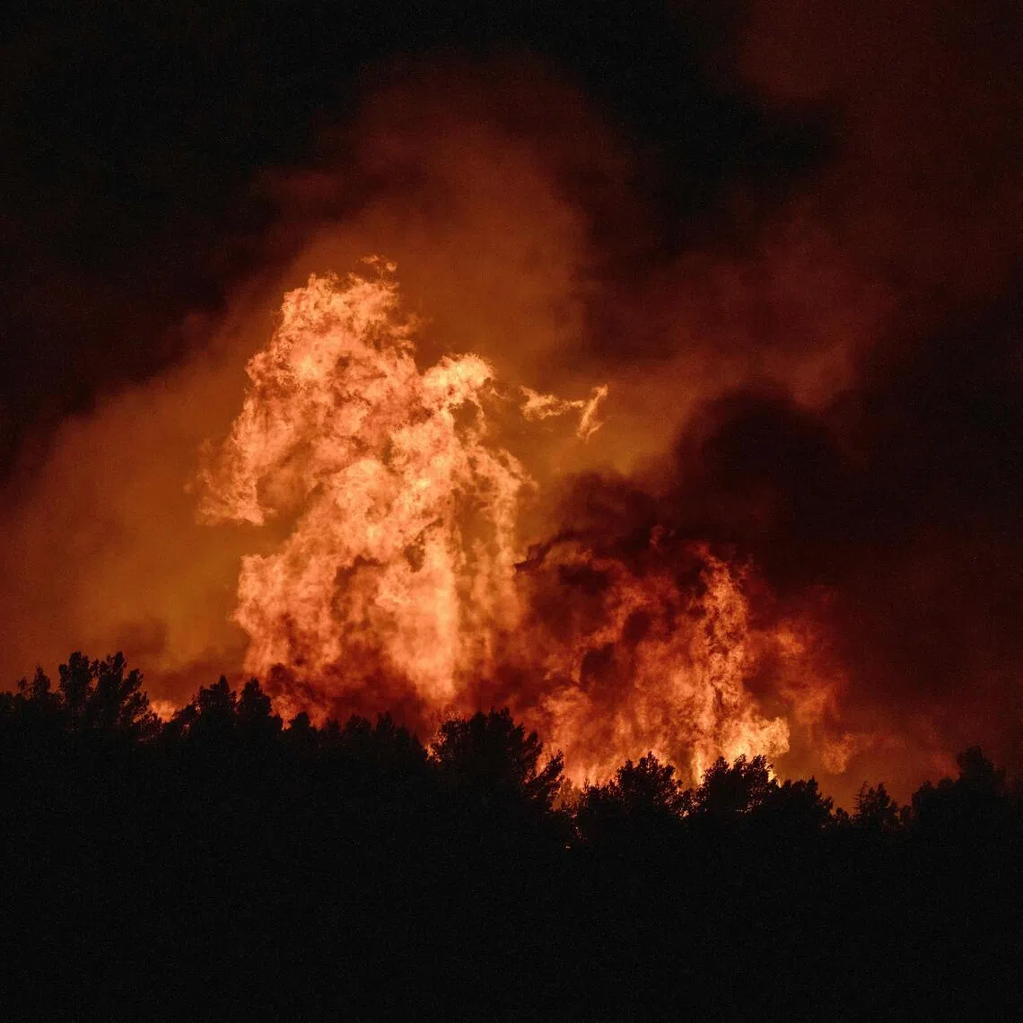A wildfire in Pouzols-Minervois, south-western of France on July 1.