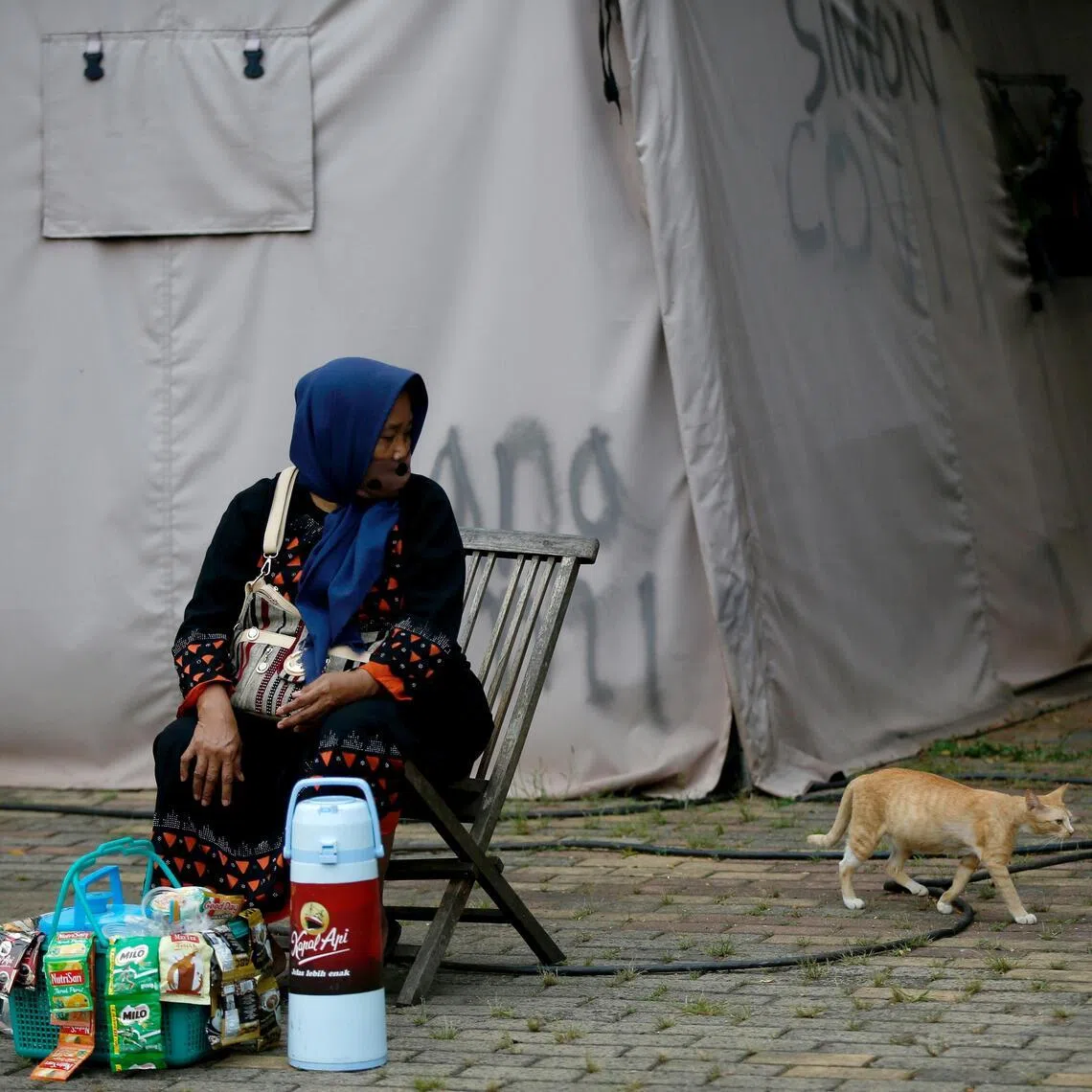 While they welcome the free rat control, some residents decry smelly cat urine, noisy territorial fights and property damage such as scratches to motorbike seats.