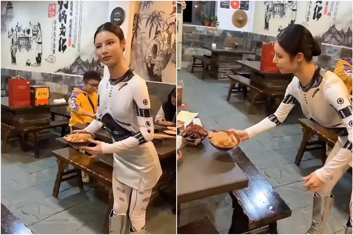 The proprietor, who gave her name only as Ms Qin, can be seen greeting customers, serving dishes, pouring tea and making toasts ‘mechanically’.