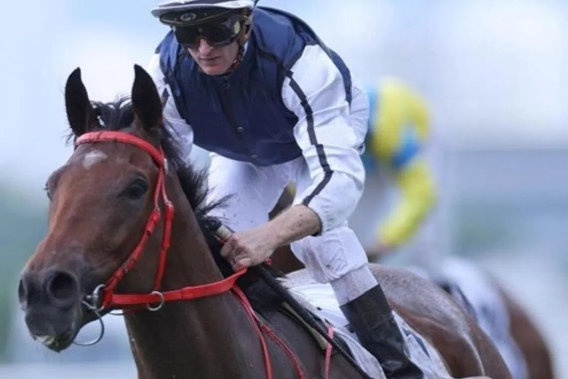 Champion jockey Zac Purton reunites with the Dennis Yip-trained Fast Network in the Class 1 Essex Handicap (1,200m) at Sha Tin on March 8. The pair combined seven times for three wins previously.
