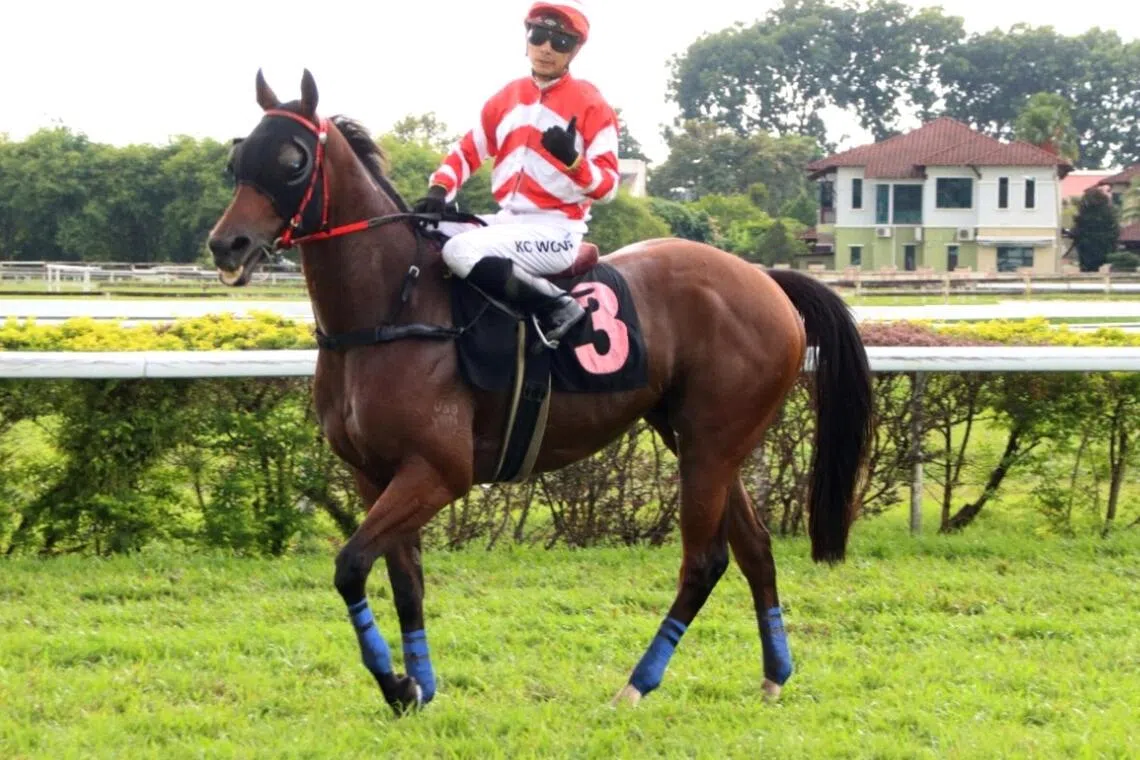 Glorious Biscuit (Wong Kam Chong) returning to scales after taking out the Class 5A race (1400m) in Ipoh on Oct 19.


