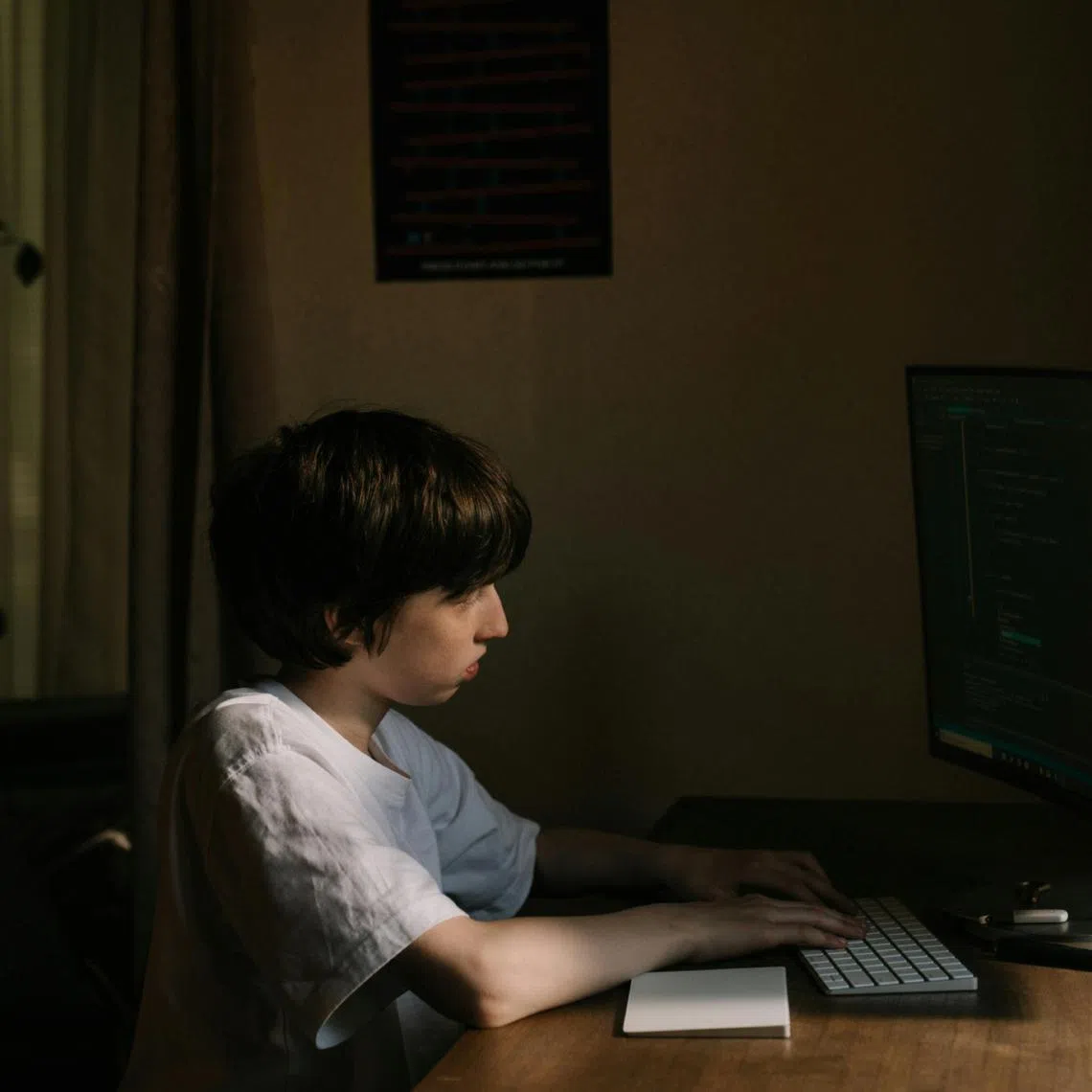 Stephen Graham, who co-wrote the drama Adolescence, felt that parents needed to be mindful of the external influences working insidiously on their children.