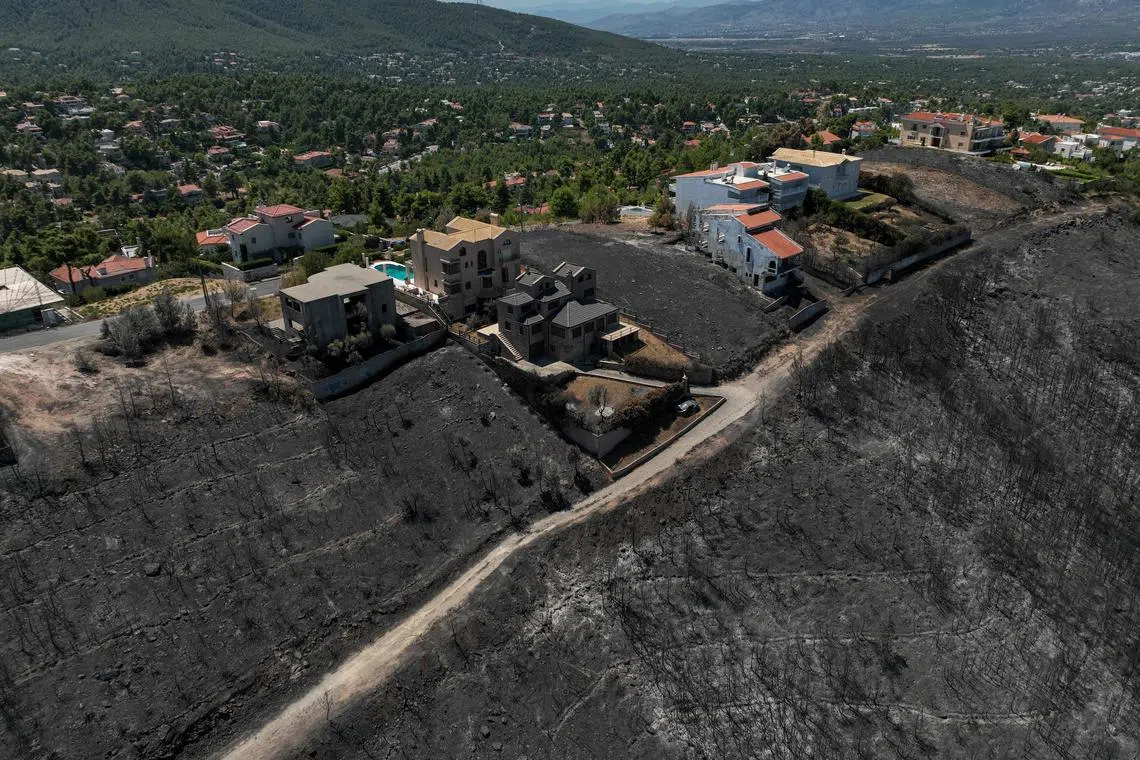 FILE PHOTO: A drone view shows a charred forest area on a hillside next to houses, following a wildfire, in Dionysos, near Athens, Greece, August 14, 2024. REUTERS/Stelios Misinas/File Photo