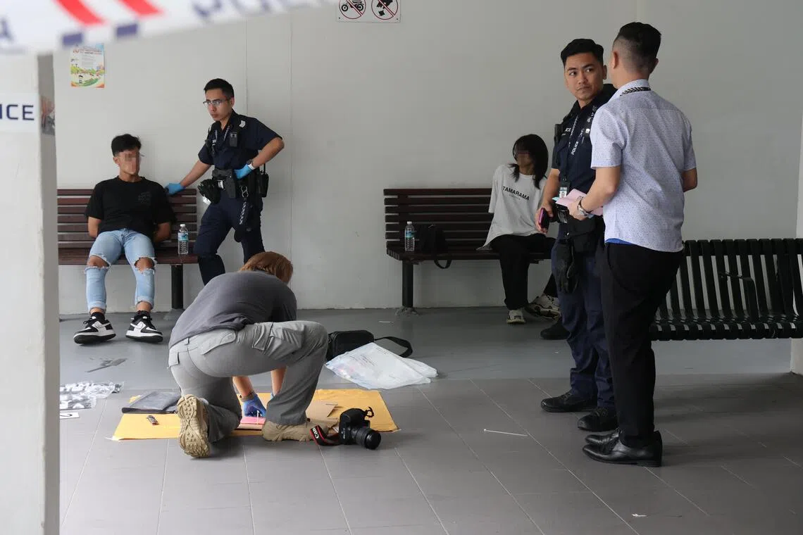 Two men, aged 23 and 26, and a 23-year-old woman were arrested.