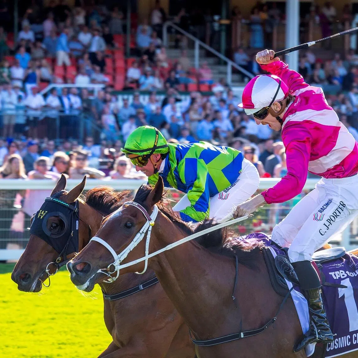 notherly09 - All of jockey Clint Johnston-Porter's (in pink) pent-up frustration of Cosmic Crusader's recent defeats is let out with a roar as he makes amends in the Group 1 Northerly Stakes (1,800m) at Ascot on Dec 6, defeating Watch Me Rock (Nash Rawiller) by a head.

PHOTO: WESTERN RACEPIX