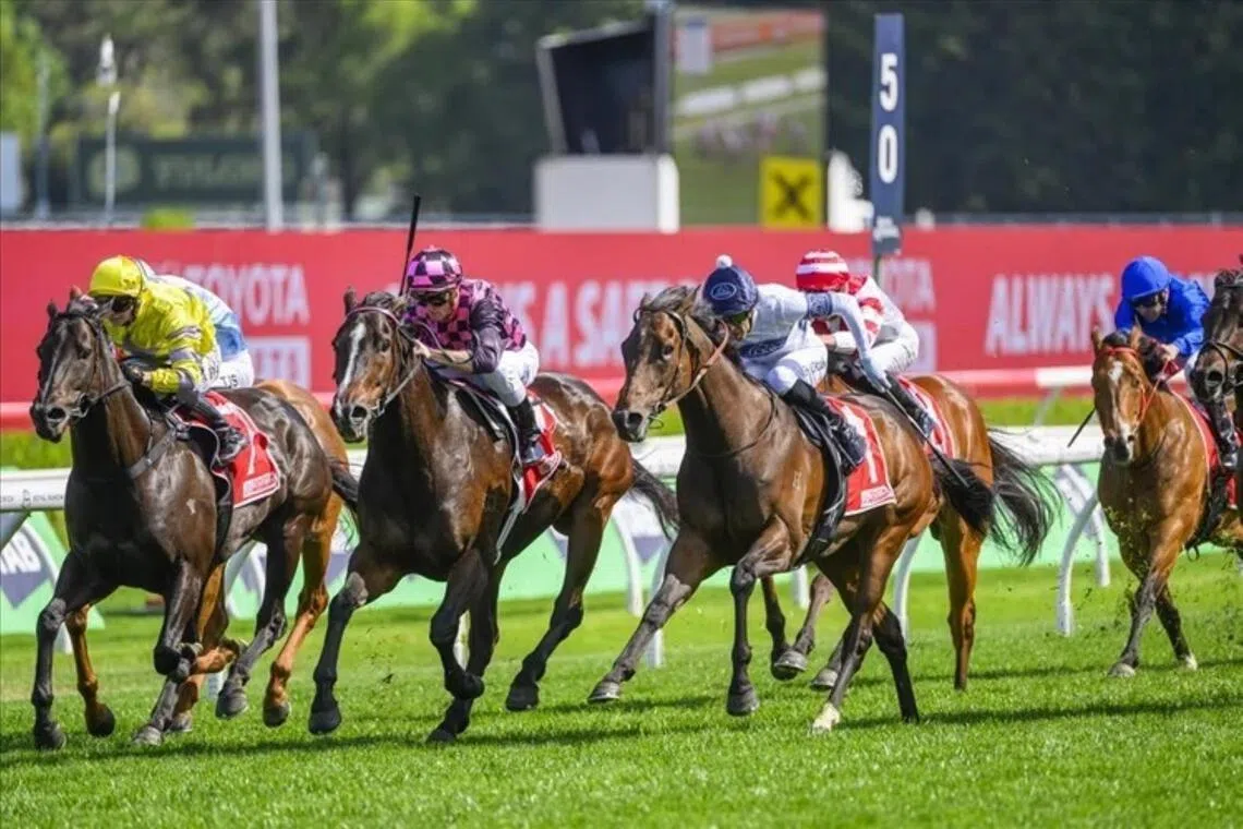 Rothfire, seen here claiming the Group 3 Sydney Stakes (1,200m) at Randwick on Oct 18, 2025, has added another feature race to his haul in the Group 1 Doomben 10,000 (1,200m) on May 16. It was his second Group 1 gong after capturing the JJ Atkins (1,400m) at Eagle Farm in 2020.