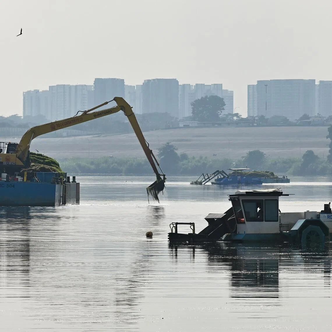 Harvesters removing aquatic plants from Lower Seletar Reservoir.