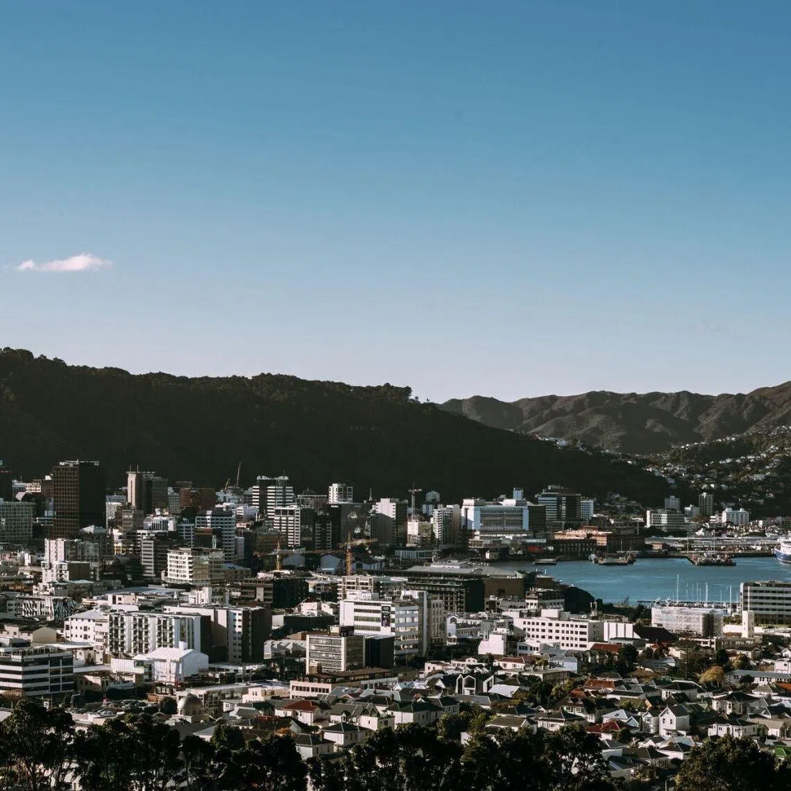Wellington Water said the wastewater overflow in the picturesque suburb of Island Bay was the result of a blocked main.