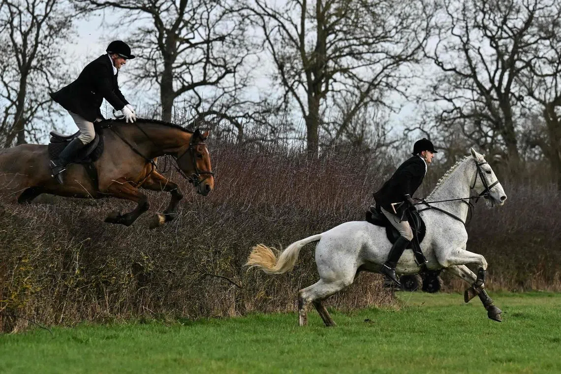 Members of the Old Surrey, Burstow and West Kent Hunt jumping over a hedge during their annual Boxing Day hunt, at Chiddingstone Castle, south of London on Dec 26, 2023. 