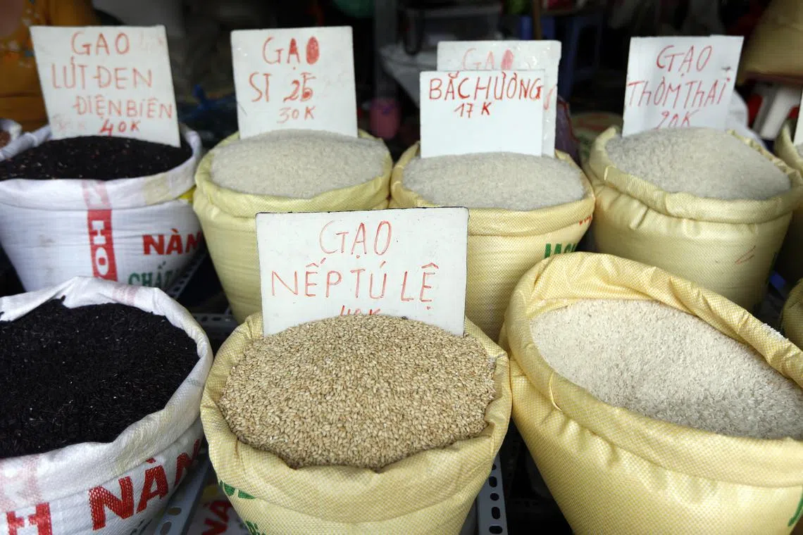 epa10778180 Bags of rice are displayed for sale at a street in Hanoi, Vietnam, 31 July 2023. Vietnam's rice exports is expected to reach about 7.2 million tonnes in 2023, with expected earning of over four billion US dollars, according to The Ministry of Agriculture and Rural Development (MARD).  EPA-EFE/LUONG THAI LINH
