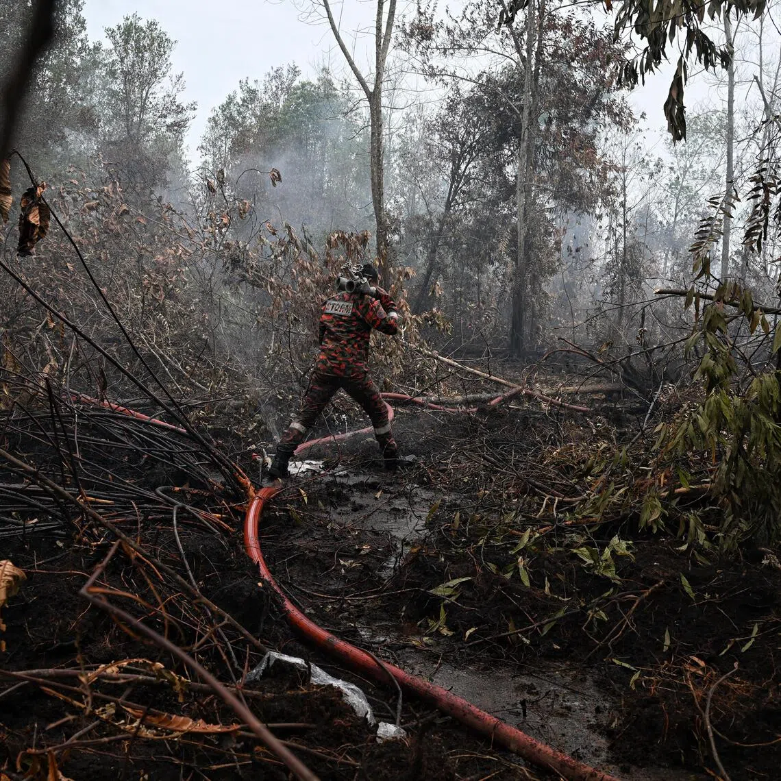 Firefighters battling a spreading peat fire in a residential district in Pengerang, Johor, in January.