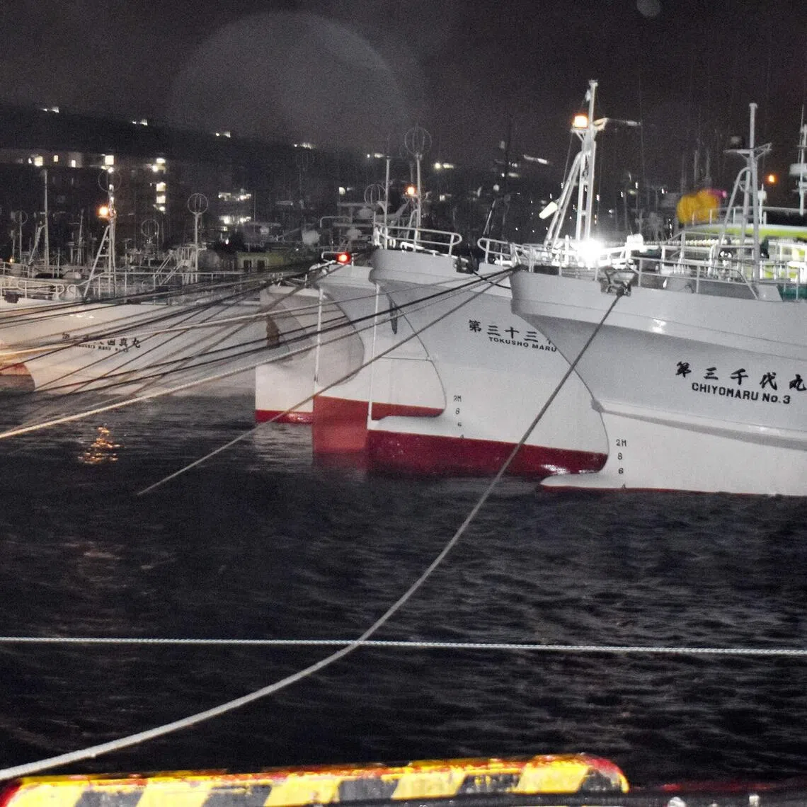 Typhoon Saudel slammed Okinawa and other remote south-western Japanese islands late in August.