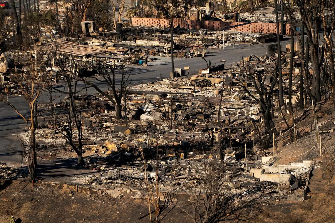 FILE PHOTO: A view shows the remains of homes burned by the Palisades Fire, in the Pacific Palisades neighborhood in Los Angeles, California, U.S. January 14, 2025. REUTERS/David Ryder/File Photo