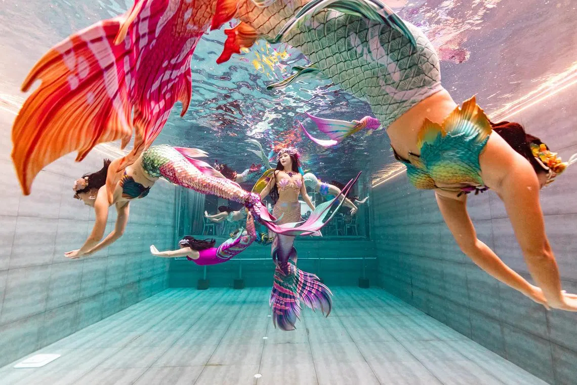jsmermaid28 - Syrnea (middle) started performing as a mermaid in 2013. She currently performs at the Fish Pool at The NCO Club.


Source / Copyright: Singapore Mermaid School