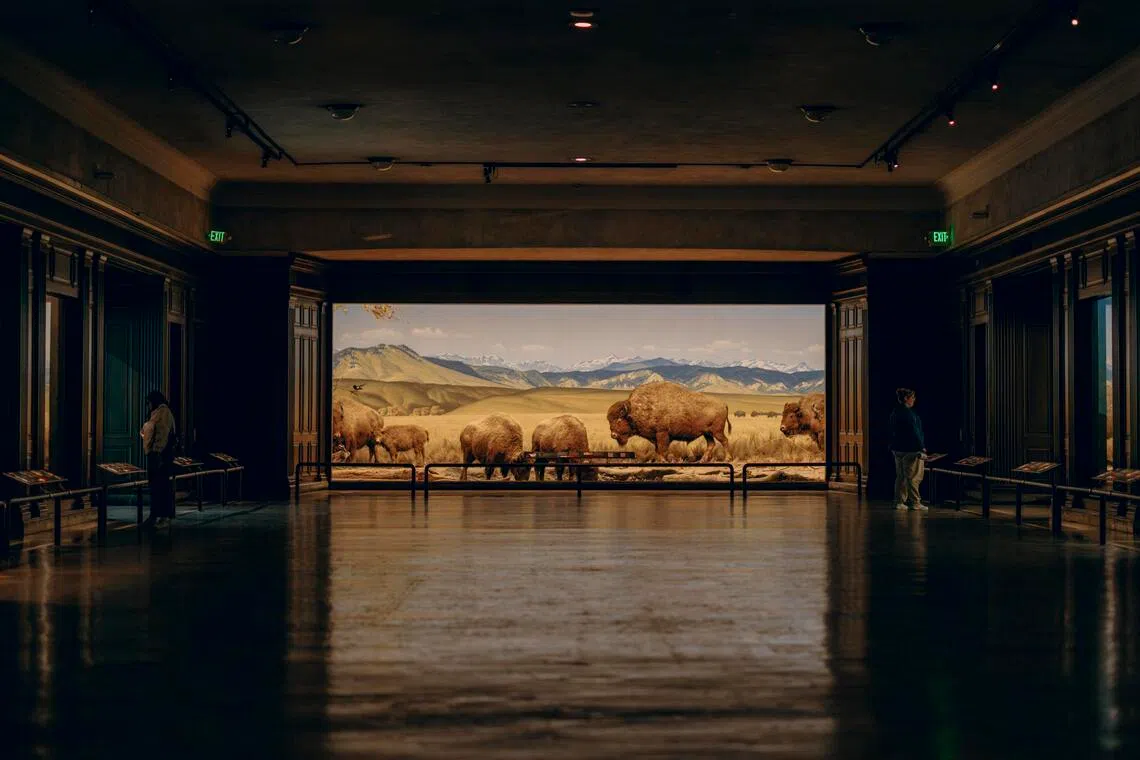 Visitors at the Natural History Museum of Los Angeles County in Los Angeles.