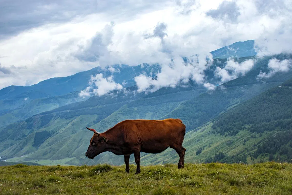 China produces over 14 per cent of global methane emissions.