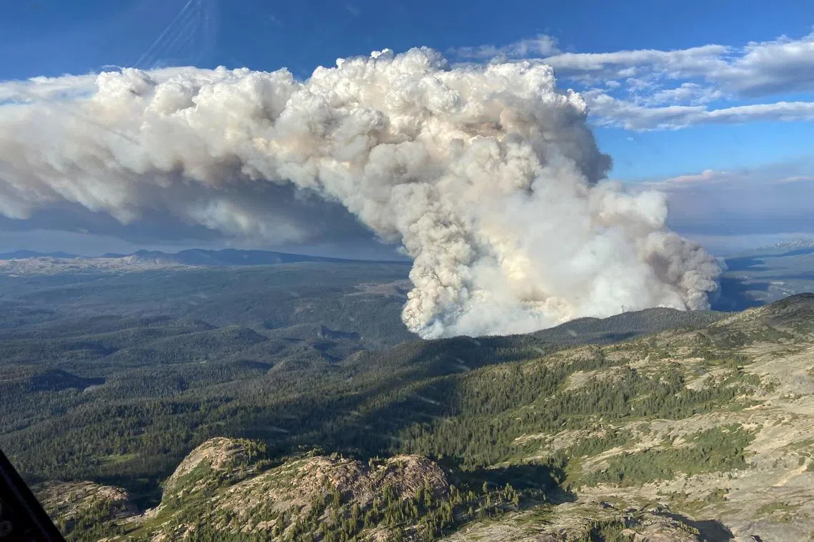 Nearly 900 wildfires burned across Canada.