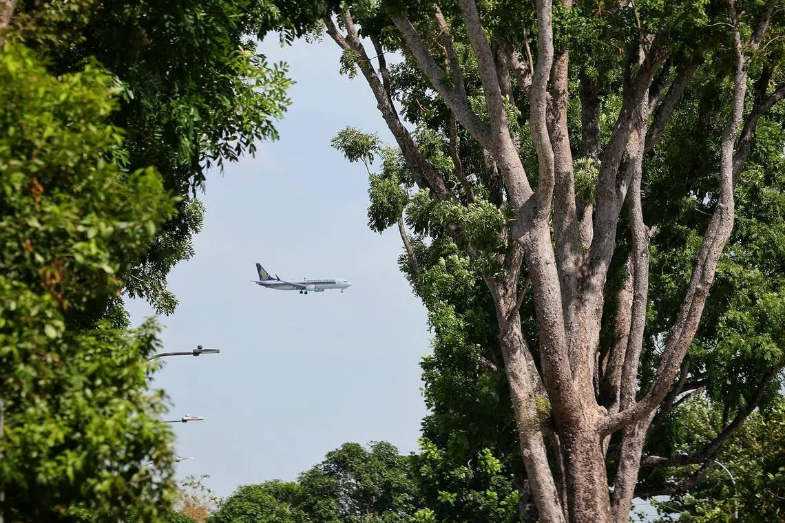 Can an air hub stay competitive while making flying greener? Singapore is betting so.