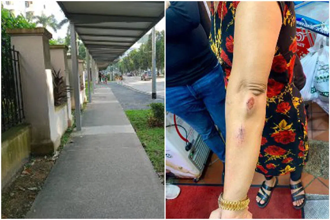 The woman was attacked near Northvale condominium in Choa Chu Kang in May 2021.