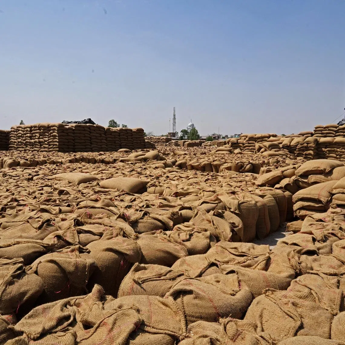 Sacks of harvested wheat are seen at a grain market in Gaggarpur village, in the northern state of Haryana, India, April 25, 2025. REUTERS/Bhawika Chhabra