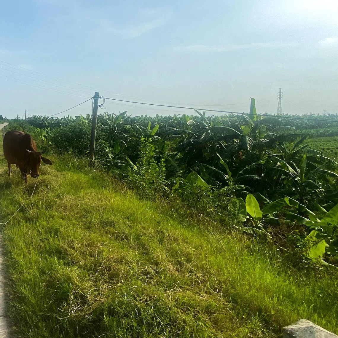 The project in Vietnam’s Hung Yen province is facing land recovery delays as residents contest the amount of compensation being offered by local authorities. 