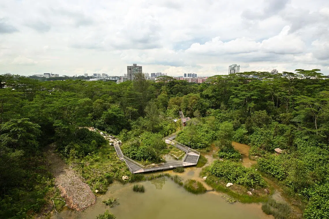 The Singapore Index is a self-assessment tool to help cities measure and benchmark their biodiversity conservation efforts.