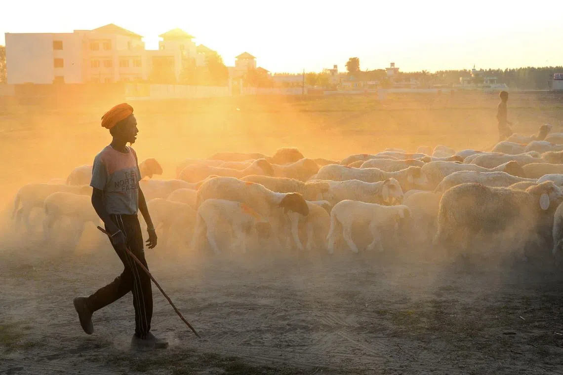Monthly maximum temperatures for March are likely to be above normal across most parts of the country.
