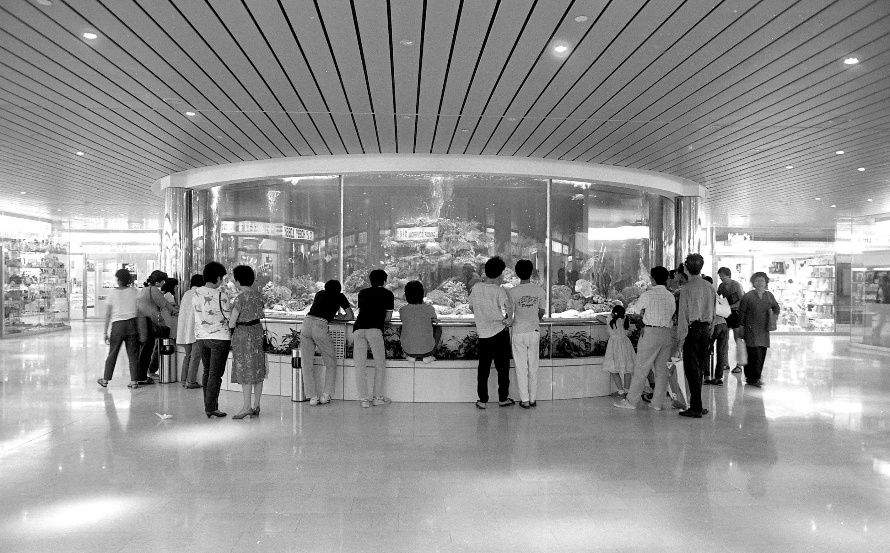 An actual photograph taken on 5 Nov 1986. Shoppers viewing the fish inside the cylindrical aquarium in the basement of Wisma Atria.