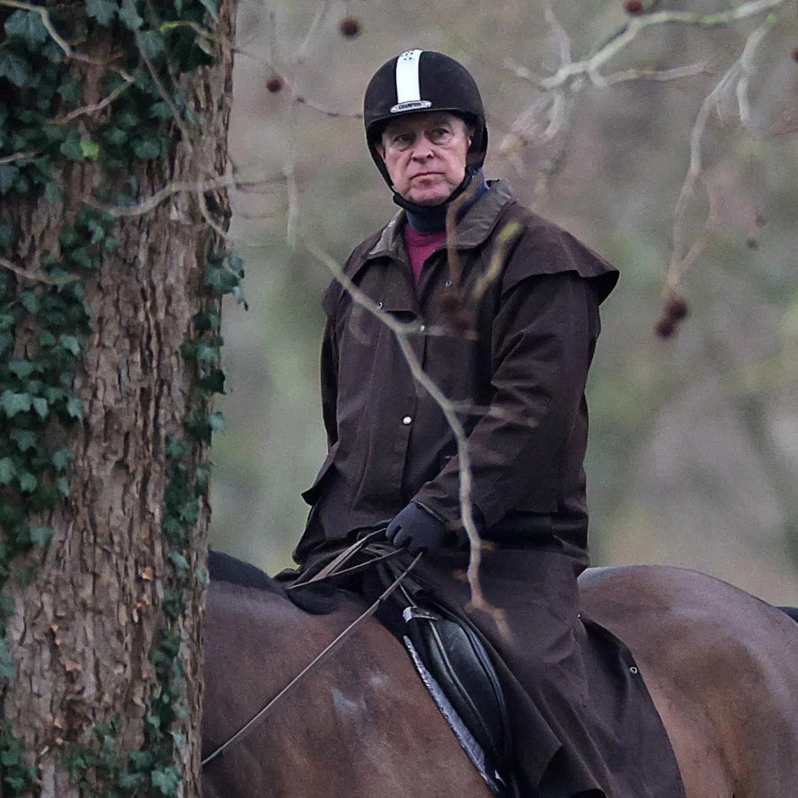 Mr Andrew Mountbatten-Windsor served as Britain's Special Representative for International Trade and Investment between 2001 and 2011.