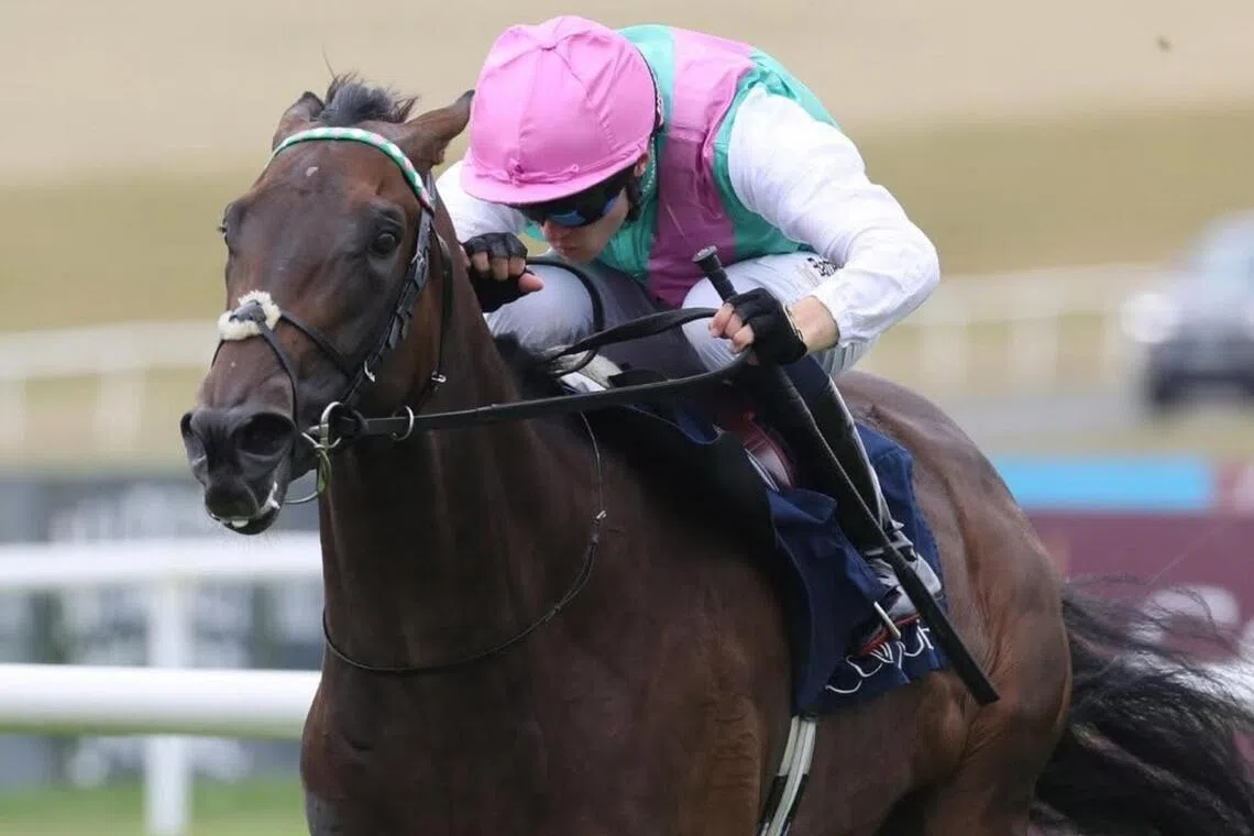 Monogram - Monogram (Dylan Browne McMonagle) coming from the ruck to score on debut in a Maiden (1,400m) at The Curragh on Aug 22. Trainer Joseph O'Brien and Juddmonte's first combination aims higher in the Group 1 Vincent O'Brien National Stakes over the same course and distance on Sept 13.

PHOTO: THE CURRAGH RACECOURSE FACEBOOK