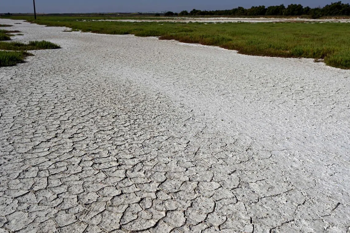 The cracked bed of the Laguna Larga lagoon in Villacanas, near Toledo, is seen amid an ongoing drought in Spain on Aug 7.