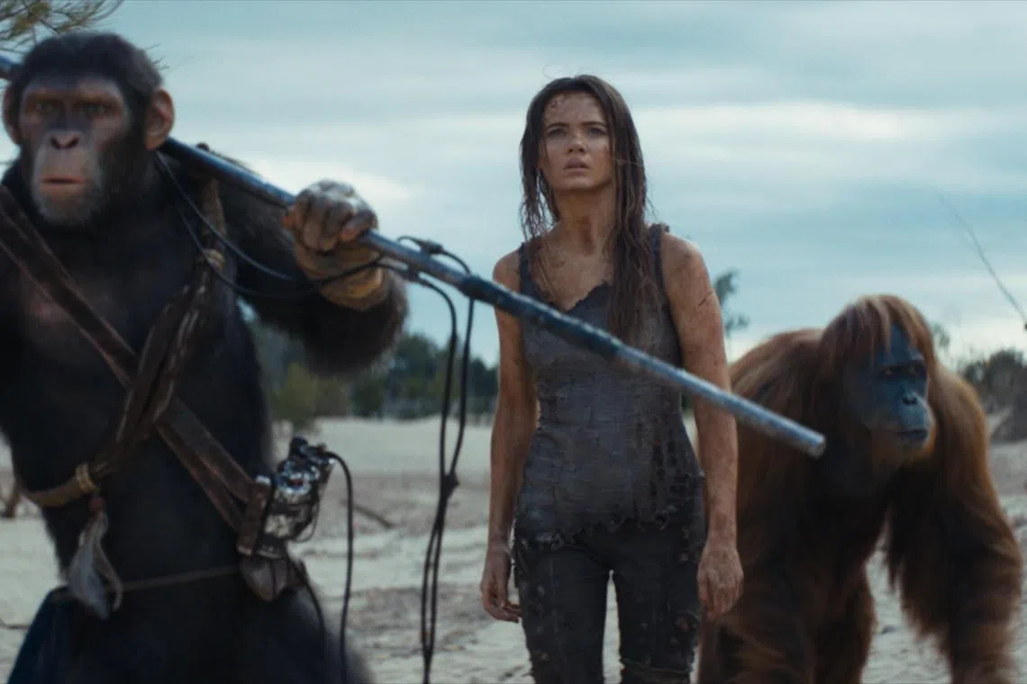 adapes - (from left) Owen Teague, Freya Allan and Peter Macon in Kingdom of the Planet of the Apes

source/copyright: The Walt Disney Co
free for publicity use
upload into Life folder