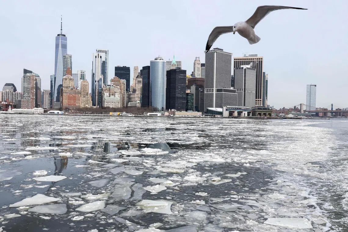 Temperatures are forecast to fall to -15 deg C late on Feb 7 in New York City.