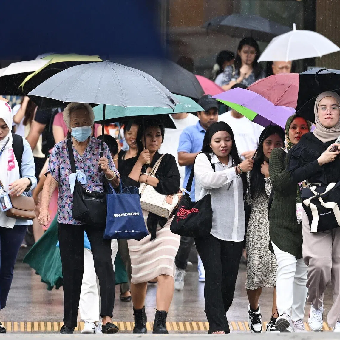 Women and the elderly crossing Victoria Street towards Bugis Street under a light drizzle on Aug 25, 2024.