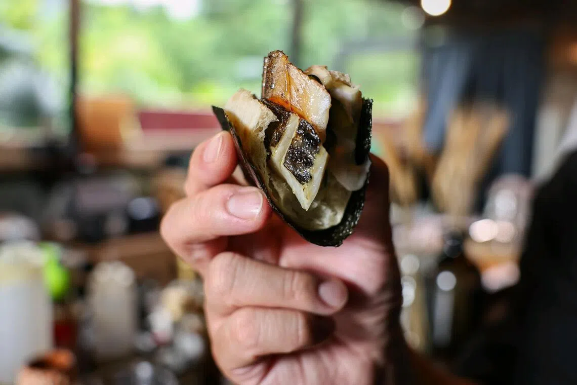 Jellyfish Sushi’s Shime Saba sandwich, comprising pickled mackerel, stracciatella and zucchini.