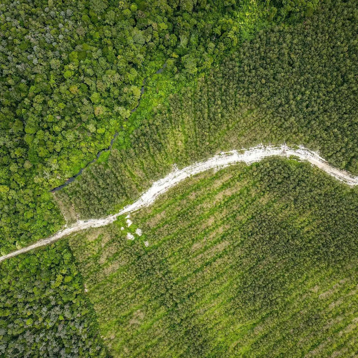Strong El Nino conditions could spike energy demand, sap hydropower and damage crops.