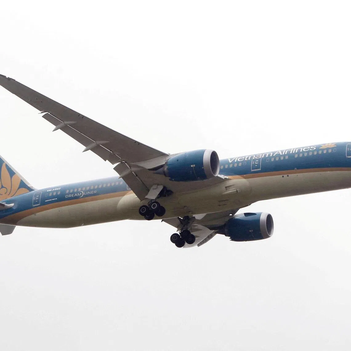 Earlier, Vietnam Airlines had said the flight had returned because of a “technical issue”.