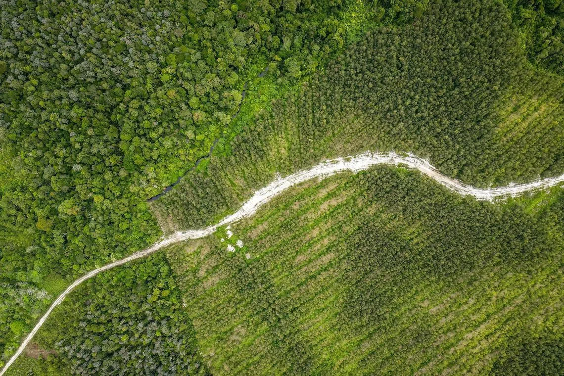 Strong El Nino conditions could spike energy demand, sap hydropower and damage crops.