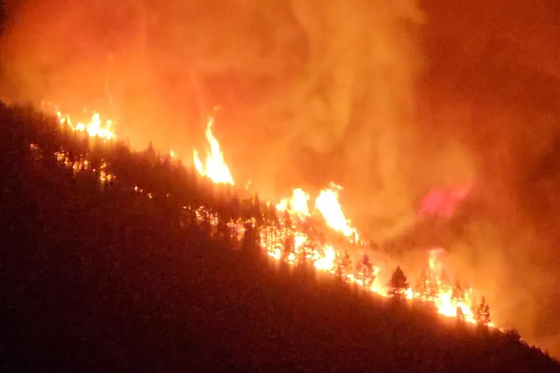 Flames and smoke rise as wildfire burns on the Canary island of Tenerife, Spain.
