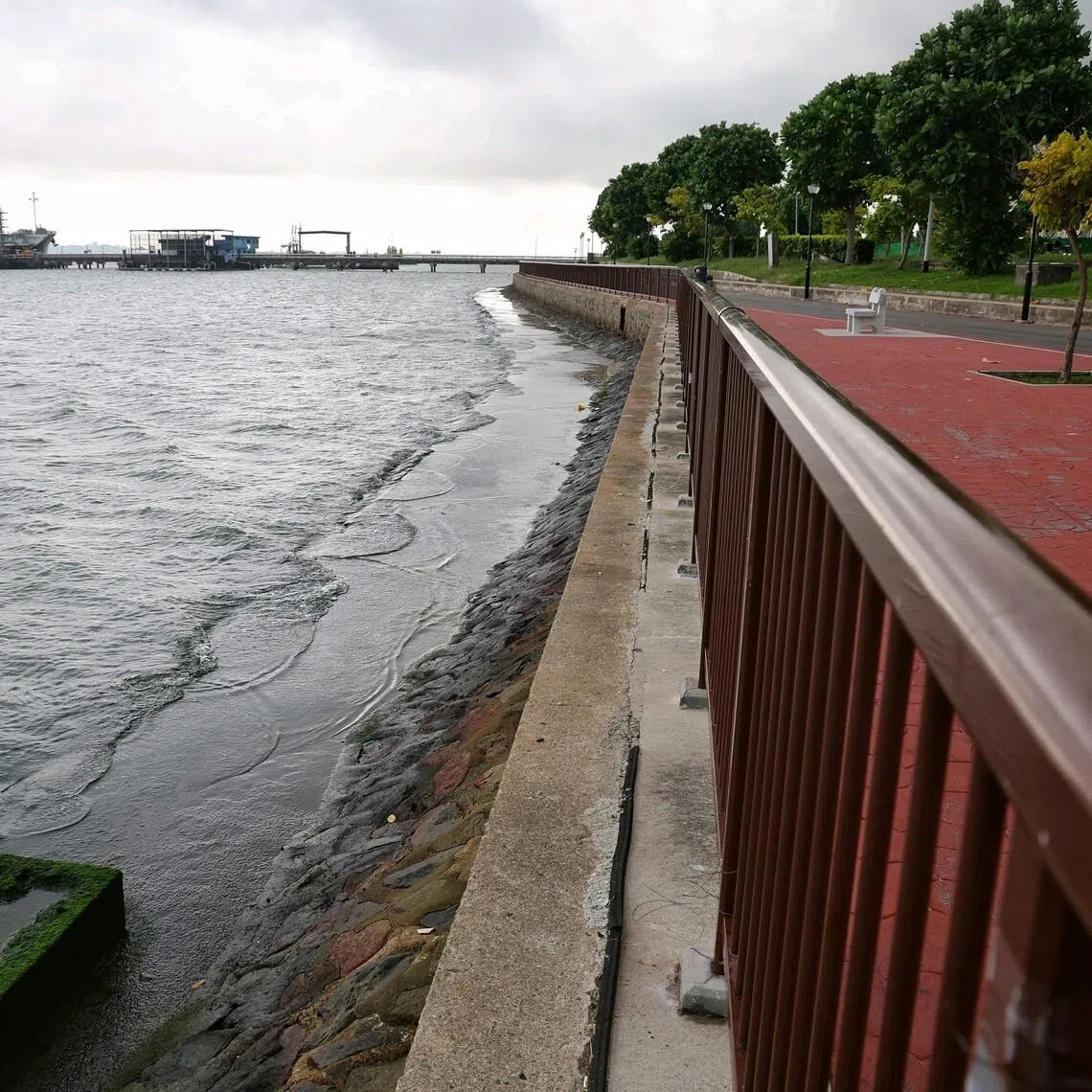 The stretch of Changi Beach, where environmentally friendly sea walls will be created.