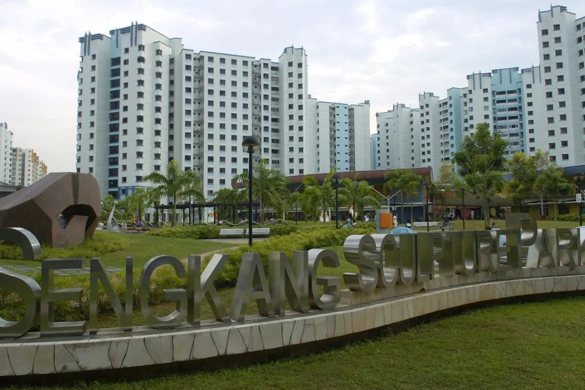 Sengkang Sculpture Park in 2008. Sengkang GRC’s Ms He Ting Ru and her team worked with residents and young people to co-design improvements to the park, creating shared projects bringing diverse groups together.