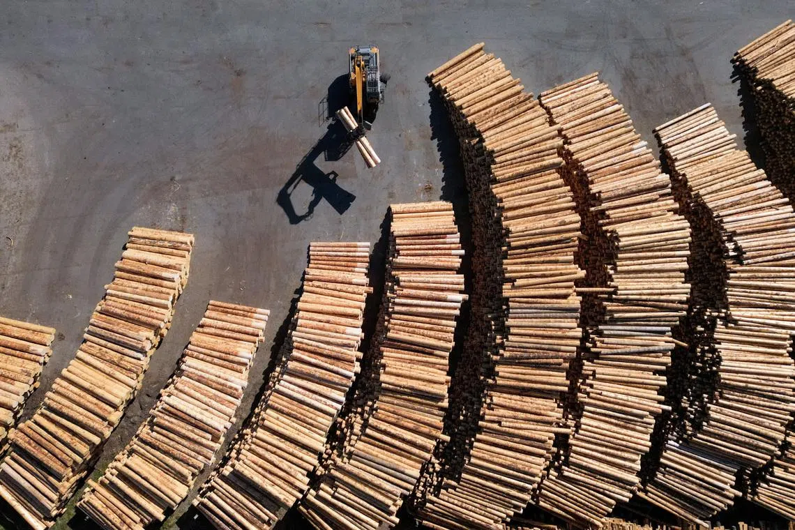 Heavy machinery moving timber logs for storage at Desponds’ wood processing facility in Bulle, Switzerland, on April 27, 2026.