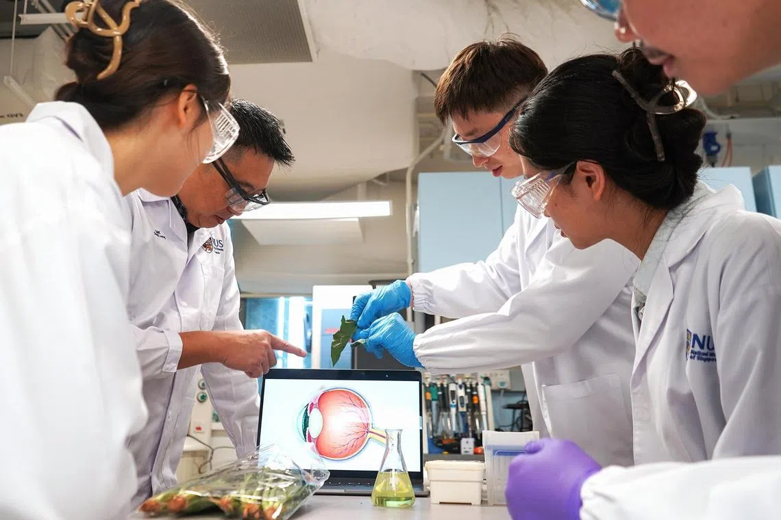 NUS study finds photosynthesis could treat dry eye disease