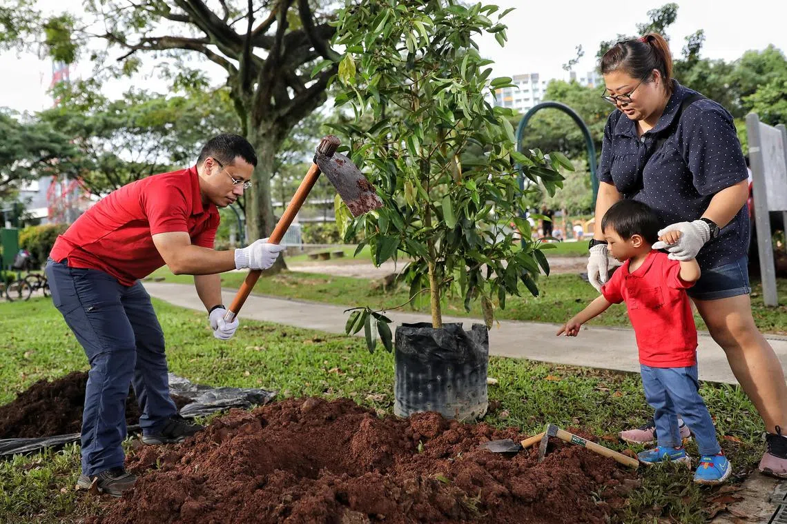 Minister for National Development and West Coast GRC MP Desmond Lee joined a family to plant a tree as part of the FamilyTrees initiative on Dec 3, 2022.