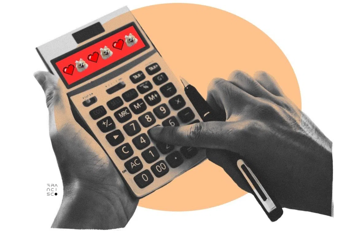 Sumiko at 62: A $6,900 vet bill changed how I think about frugality in retirement