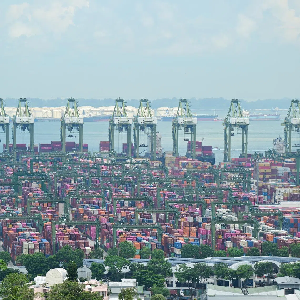 The survey found that 85 per cent of respondents were familiar with FTAs in 2023, compared with 62 per cent in 2021.